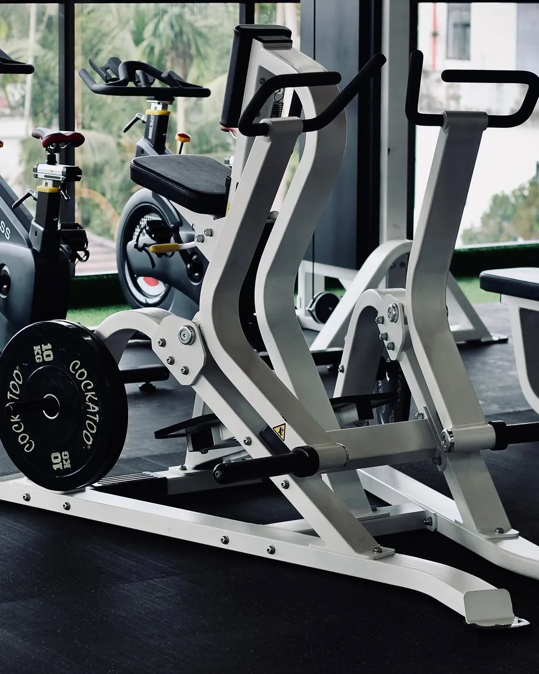Taurus Fitness strength training