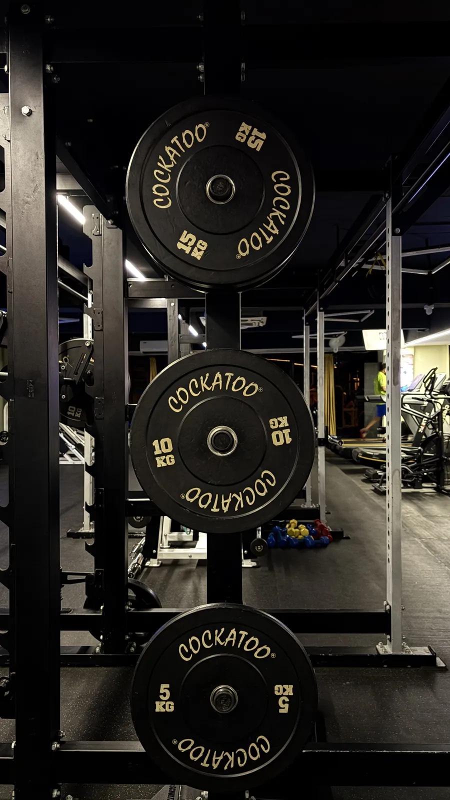 Taurus Fitness gym floor — Kozhikode